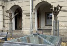 Pflegemaßnahmen für Bäume in der Altstadt: Gesund und sicher durch den Kopfbaumschnitt Zurückgeschnittene Bäume vor dem Bad Windsheimer Rathaus.