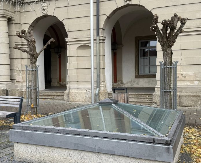 Zurückgeschnittene Bäume vor dem Bad Windsheimer Rathaus.
