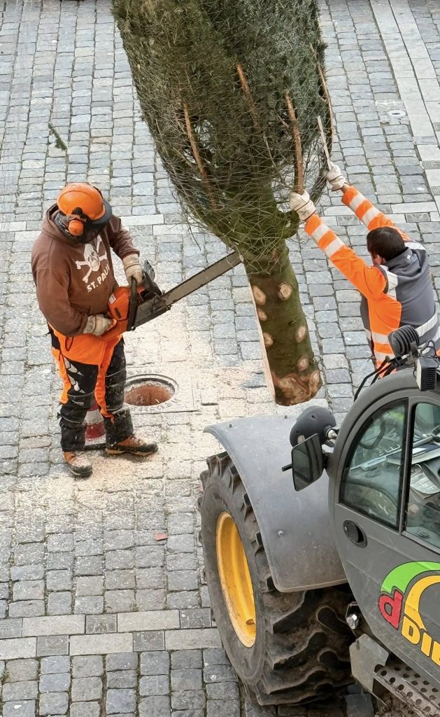 Arbeiter sägen einen Weihnachtsbaum zu