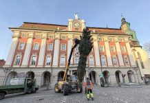 Weihnachtszeit in Bad Windsheim: Ein strahlender Anfang für den Reichsstädtischen Weihnachtsmarkt Ein Autokran stellt vor dem Rathaus Bad Windsheim einen Weichnachtsbaum auf