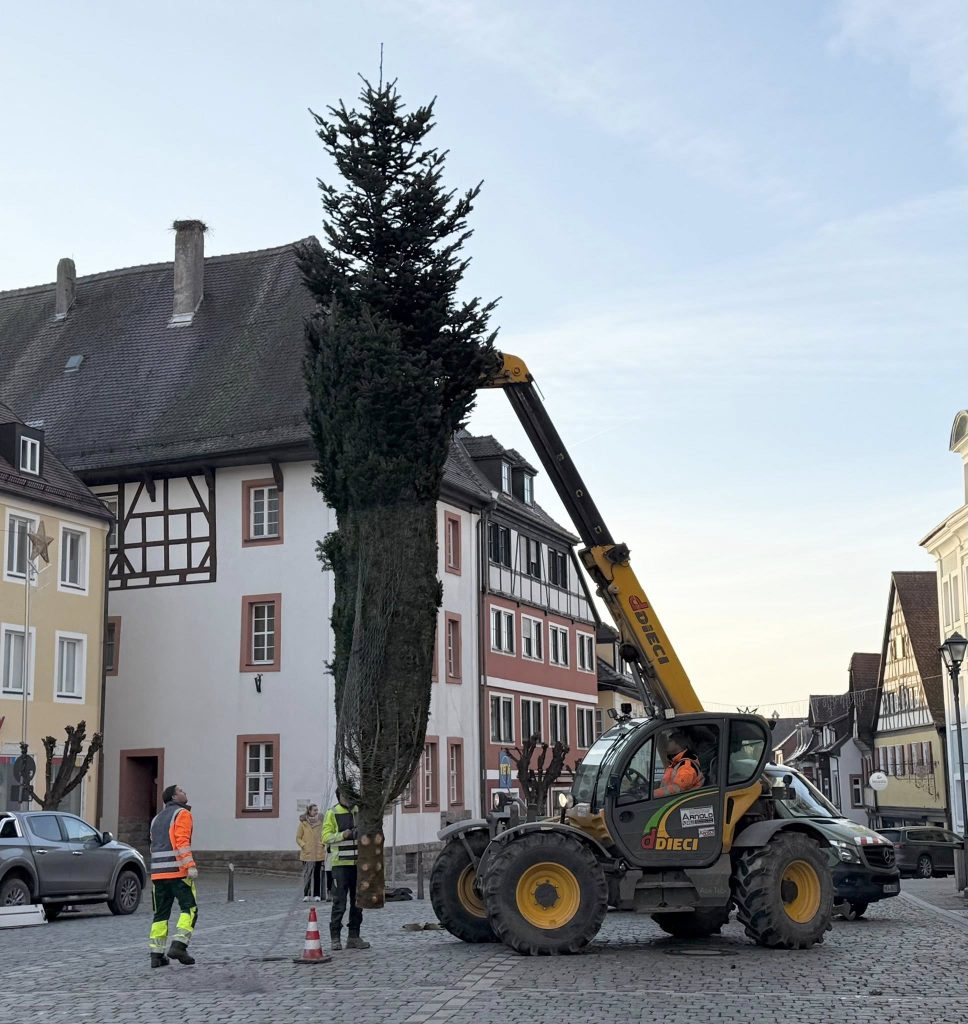 Ein Autokran stellt den Windsheimer Weihnachtsbaum auf den Marktplatz